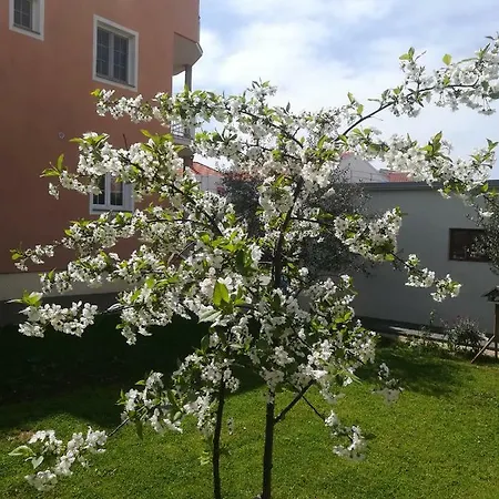 Lucija Guest house