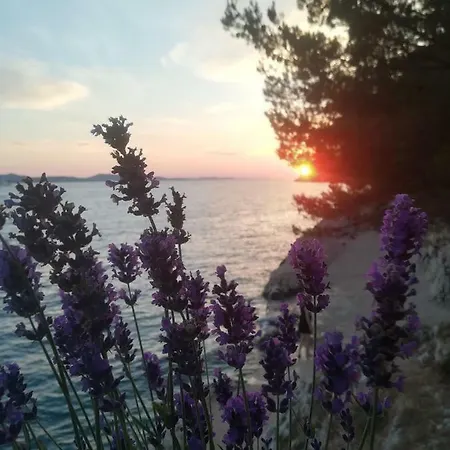 Lucija Guest house Bibinje